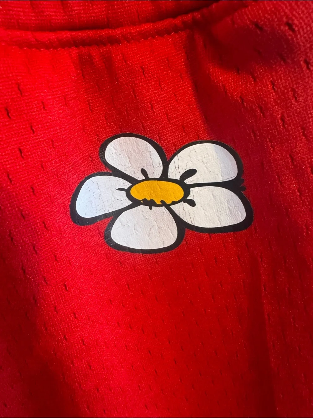 The Smurfs Smurfette Red Mesh Athletic Shorts Size L Cartoon‎